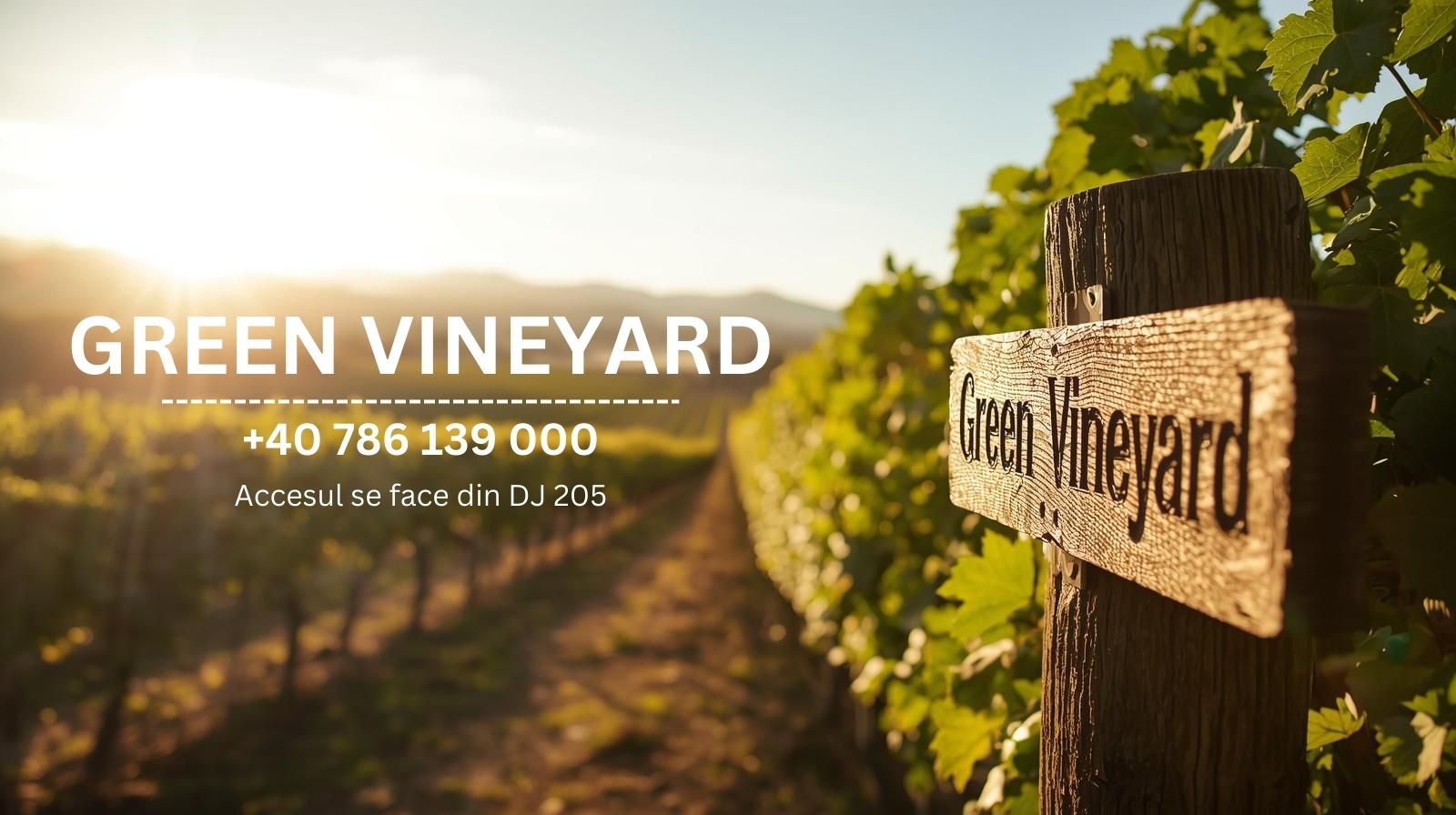 Green Vineyard Desktop