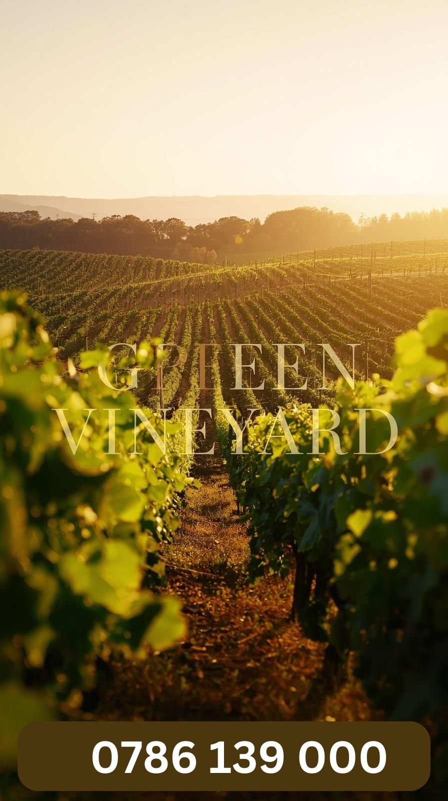 Green Vineyard Mobile
